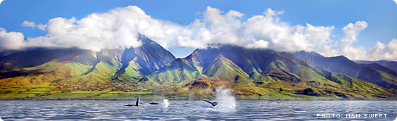 West Maui Mountains - Photo: M&M Sweet
