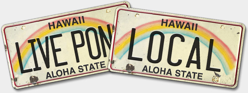 Hawaiian Vintage License Plate Magnets