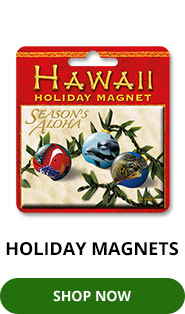 Holiday Magnets