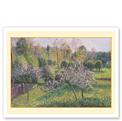 Flowering Apple Trees (Pommiers En Fleurs) - Eragny, France - c. 1895 - Fine Art Prints & Posters