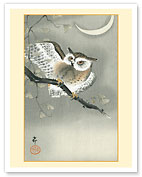 Long-Eared Owl in Ginkgo - c. 1900 - Fine Art Prints & Posters