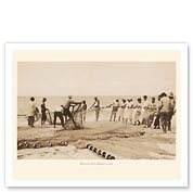 Hukilau Nets - Hawaiian Islands - Shore Fishing - c. 1940 - Fine Art Prints & Posters