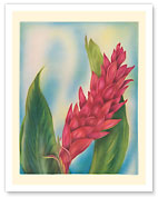Hawaii Red Ginger - c. 1940's - Fine Art Prints & Posters
