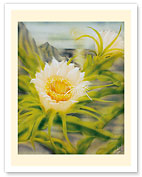 Hawaii Night Blooming Cereus (Hylocereus Undatus) - Honolulu Queen of the Night - c. 1940's - Fine Art Prints & Posters