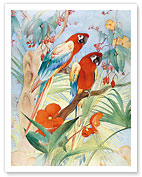 The Quaint Macaw - Red and Blue Macaws - Fine Art Prints & Posters