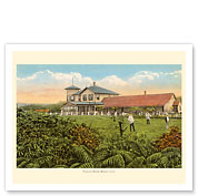 Volcano House, Hawaii - Directly Overlooking Crater - Hawaii Volcanoes National Park - c. 1921 - Giclée Art Prints & Posters