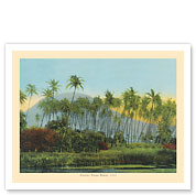 Coconut (Cocoanut) Palms - Hawaii - c. 1910 - Giclée Art Prints & Posters