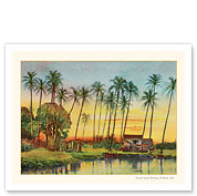 Coconut Grove - Territory of Hawaii - c. 1908 - Fine Art Prints & Posters