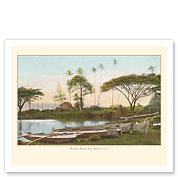 Waiakea River, Hilo - Territory of Hawaii - c. 1913 - Fine Art Prints & Posters