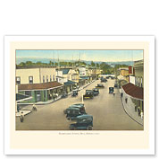 Kamehameha Avenue, Hilo - Big Island, Hawaii - c. 1920's - Fine Art Prints & Posters