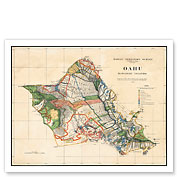 Oahu - Hawaiian Islands - Hawaii Territory Survey Map - Giclée Art Prints & Posters