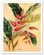 Heliconia, Hawaiian Tropical Flower - Giclée Art Prints & Posters