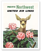 United Air Lines: Pacific Northwest - Fine Art Prints & Posters