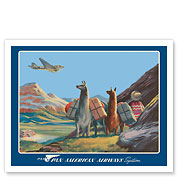 South America - Wings Over the World - Pan American Airways System - Douglas DC-3 - c. 1930's - Fine Art Prints & Posters