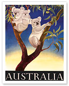 Australia Koala - Fine Art Prints & Posters