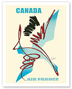 Canada - Abstract Canadian Bird - Goose - Fine Art Prints & Posters