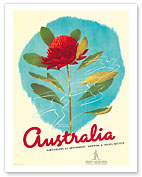 Australia Shipping & Travel - Waratah Red Flower - Fine Art Prints & Posters