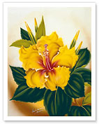 Hawaiian Yellow Hibiscus - Fine Art Prints & Posters