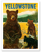 Yellowstone Go Greyhound - Bears at the Park - Fine Art Prints & Posters
