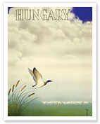 Hungary - Hortobágy National Park - Hungarian Duck - Fine Art Prints & Posters