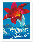 St. Moritz Les Bain - Switzerland, Schweiz, Suisse, Red Lily - Fine Art Prints & Posters