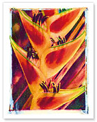 Hawaiian Heliconia - Fine Art Prints & Posters