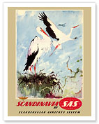 Scandinavia - White Storks - SAS Scandinavian Airlines System - Fine Art Prints & Posters