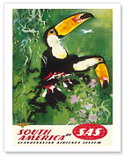 South America - Tocu Toucans - SAS Scandinavian Airlines System - Fine Art Prints & Posters