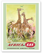 Africa - by SAS Scandinavian Airlines System - Serengeti African Giraffes - Fine Art Prints & Posters