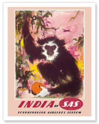 India - by SAS Scandinavian Airlines System - Black Monkey - Fine Art Prints & Posters