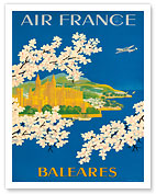 Islas Baleares - Balearic Islands, Spain - Cathedral of Santa Maria of Palma, Mallorca - Aviation - Fine Art Prints & Posters