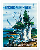 Pacific Northwest - Go Greyhound (Greyhound Bus Lines) - Fine Art Prints & Posters