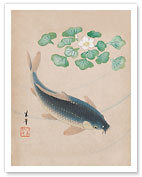 Carp with Water Flowers - Japanese Art c.1900's - Fine Art Prints & Posters