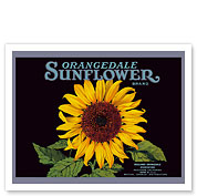 Orangedale Sunflower Brand - California Oranges - c. 1930's - Fine Art Prints & Posters