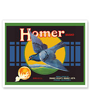 Homer California Oranges - c. 1930's - Fine Art Prints & Posters