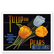 Tulip Brand Pears - c. 1950's - Fine Art Prints & Posters