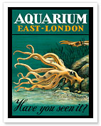 East-London Aquarium - South Africa - Have you seen it? - Octopus and Squid - Fine Art Prints & Posters