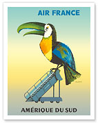 Amérique Du Sud (South America) - Toucan on Airplane Stairs - Fine Art Prints & Posters