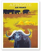 Africa (Afrique) - African Wildlife - African Buffalo and Elephants - c. 1956 - Fine Art Prints & Posters