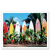 Old Surfboards Never Die, Hawaii - Fine Art Prints & Posters