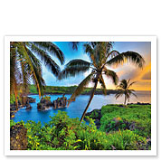 Where Da Coconuts Grow, Maui, Hawaii - Giclée Art Prints & Posters