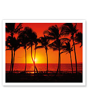 Red Hawaiian Sunset - Fine Art Prints & Posters