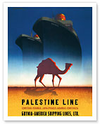 Palestine Line - Gdynia-America Shipping Lines - Polish Ocean Liners SS Kościuszko and SS Polonia - Fine Art Prints & Posters