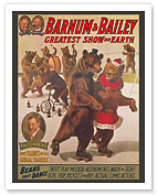 Barnum & Bailey Circus - Greatest Show on Earth - Bears that Dance - c. 1916 - Fine Art Prints & Posters