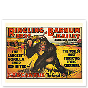 Gargantua, the Great Gorilla - Ringling Brothers and Barnum & Bailey Circus - Greatest Show on Earth - c. 1900's - Fine Art Prints & Posters