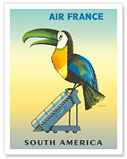 South America - Aviation - Toucan on Airplane Stairs - Fine Art Prints & Posters