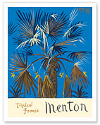 Menton - Tropical France - Palm Tree - Fine Art Prints & Posters