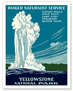 Yellowstone National Park - Old Faithful Geyser - Ranger Naturalist Service - Fine Art Prints & Posters