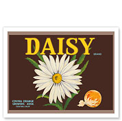 Daisy Brand Oranges - c. 1930's - Fine Art Prints & Posters
