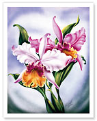 Hawaiian Pink Orchid - Fine Art Prints & Posters